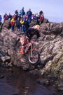 Steve Grindle, 1996