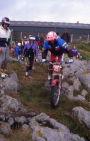 Andrew Reeves, 1995