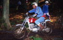 Don Morley, 1995