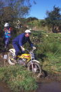 Wally Dalton, 1997